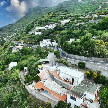 Gesualda