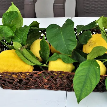 Gesualda Serrara Fontana