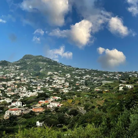 Gesualda セッラーラ・フォンターナ