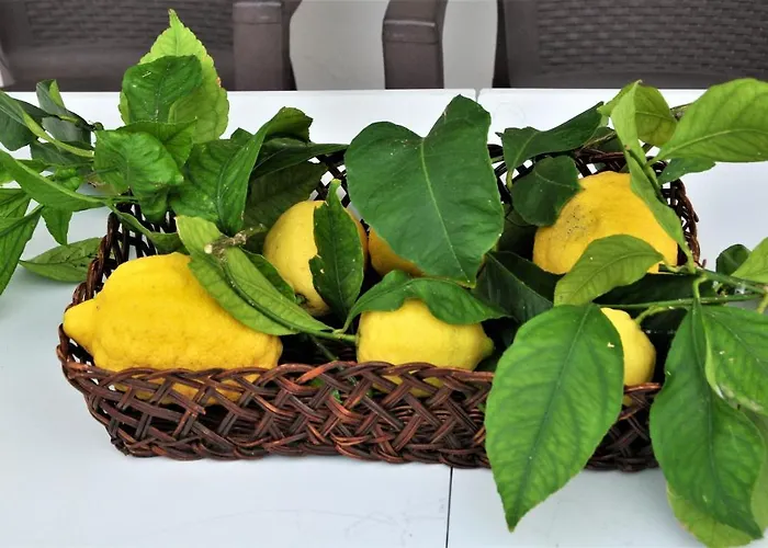 Gesualda Serrara Fontana